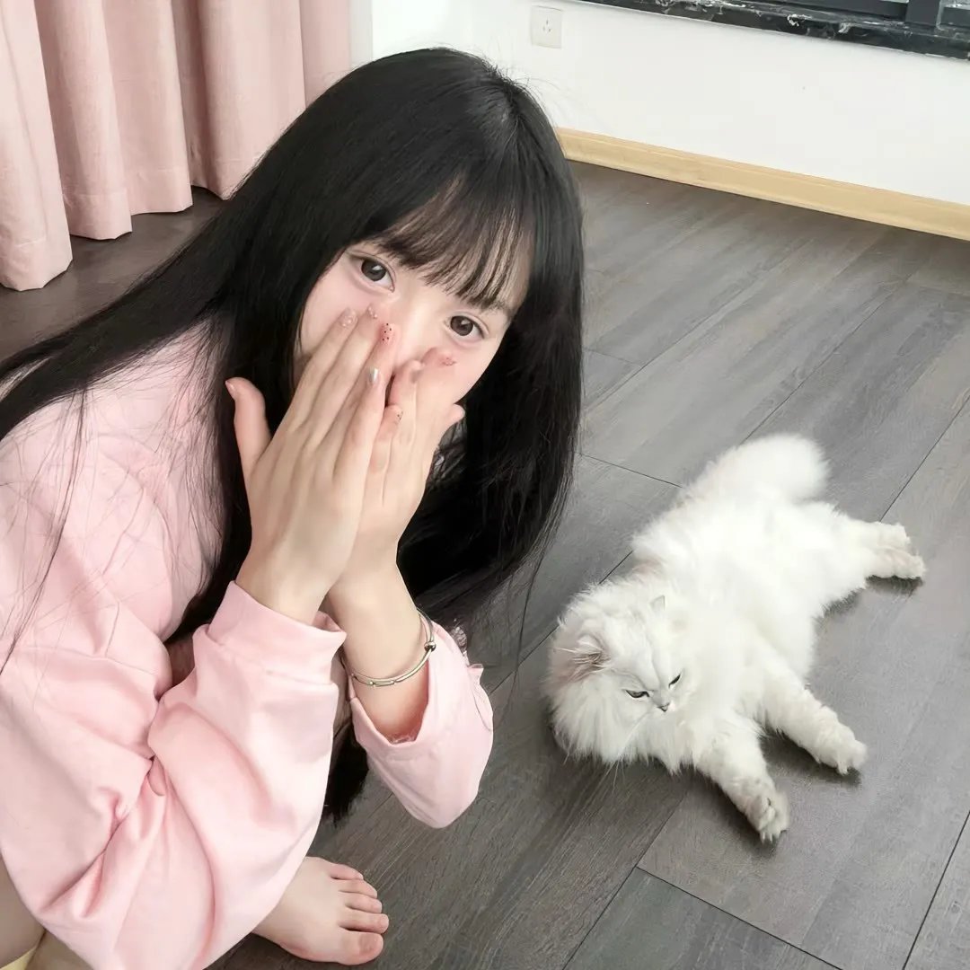家在树德坊 在线观看